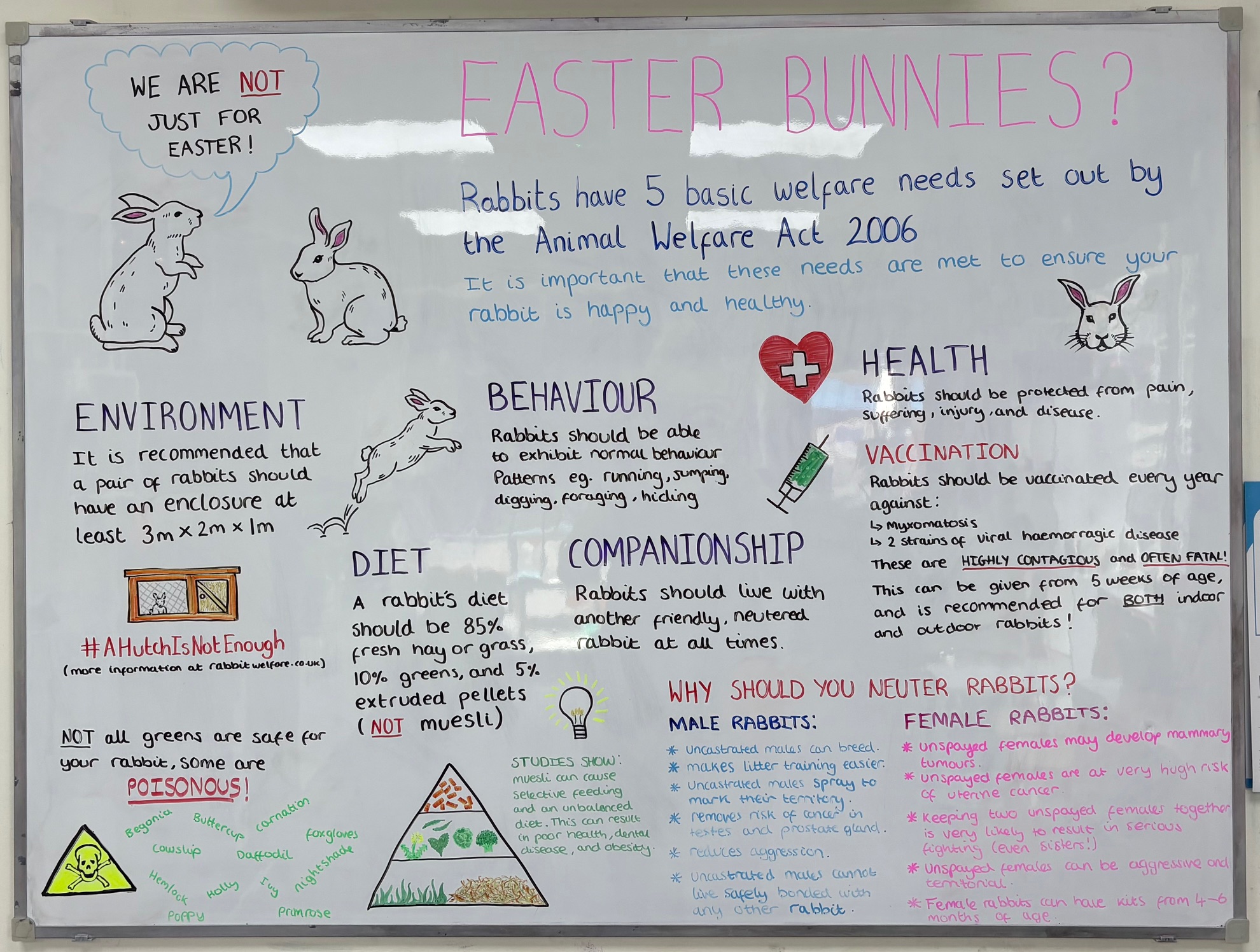 easter board